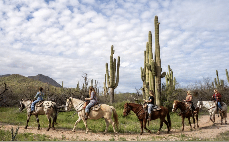 Saguaro Lake Ranch